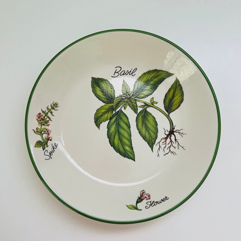 OVER AND BACK Stoneware Green Rim "Basil" Spike Flower Pasta Bowl